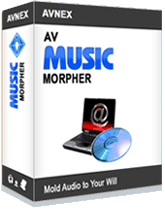 AV Music Morpehr 4.0 Box
